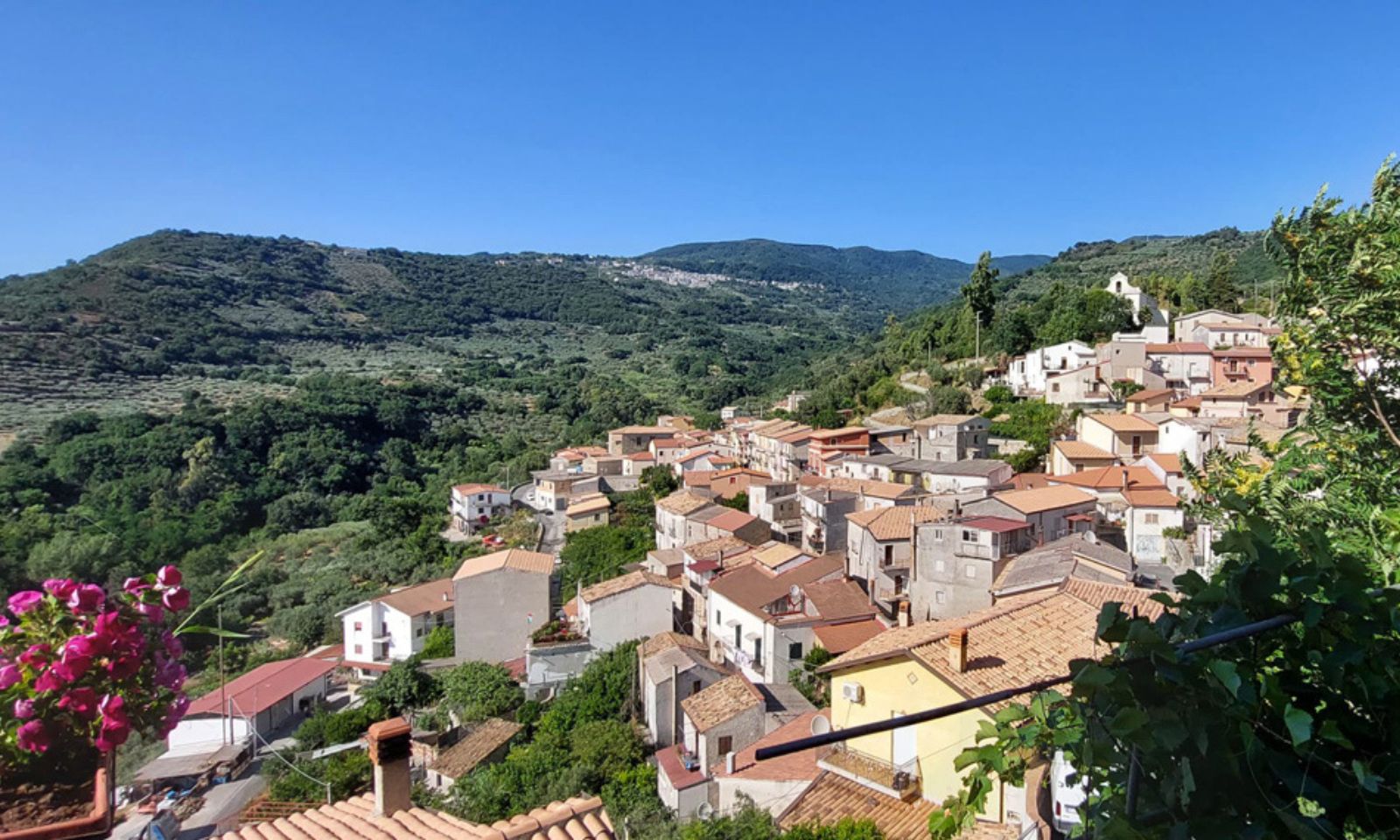 La via dell’olio: da Castiglione Marittimo a Falerna