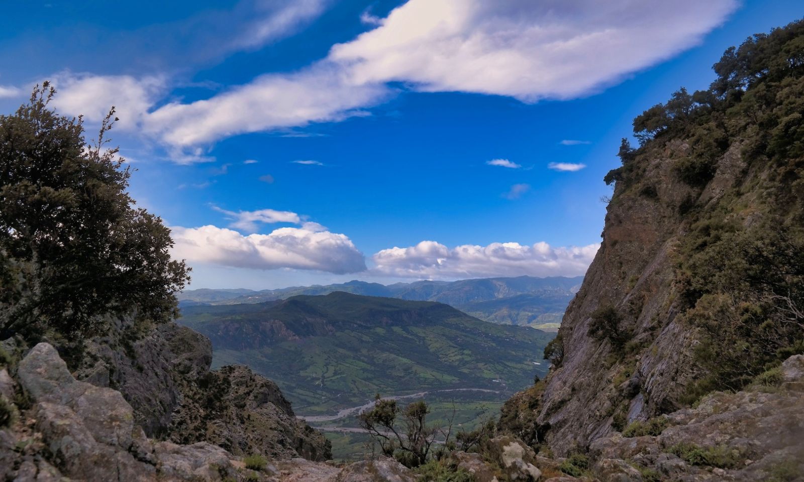 Città dell’olio: itinerario tra la natura e la piccola frazione di Cirella Platì